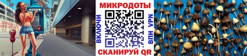 площадка телеграм  Касимов  Галлюциногенные грибы Magic Shrooms 